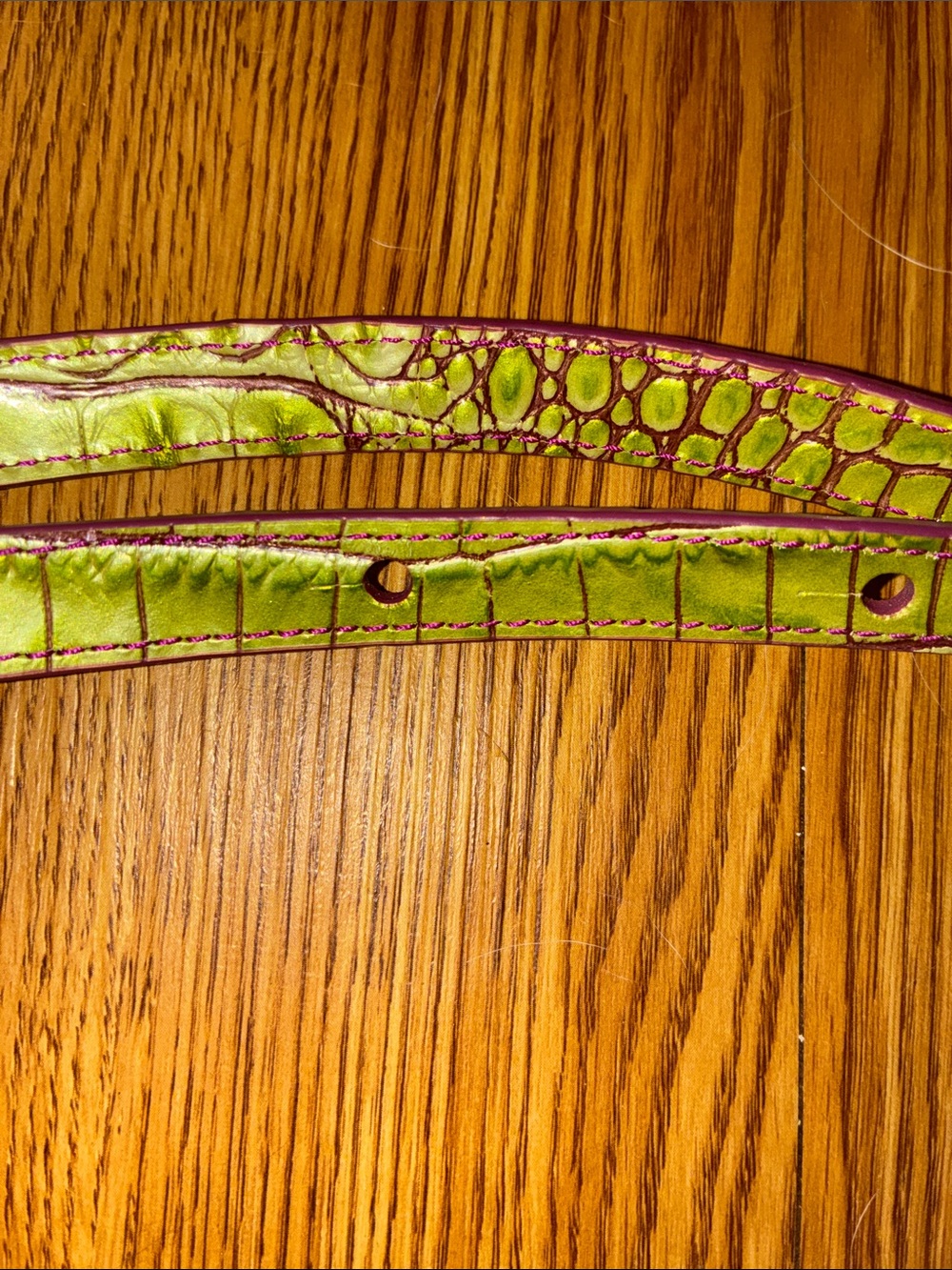 BRAHMIN colorway limeade crush Purple Lime green leather Shoulder purse strap - Picture 4 of 4